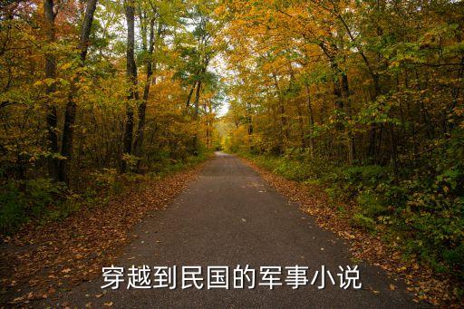 顛覆民國(guó)之1911，穿越到民國(guó)的軍事小說