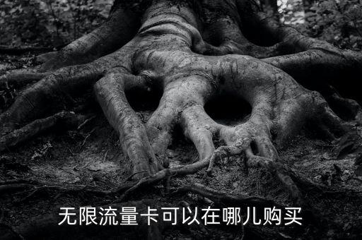 無(wú)限流量卡可以在哪兒購(gòu)買(mǎi)