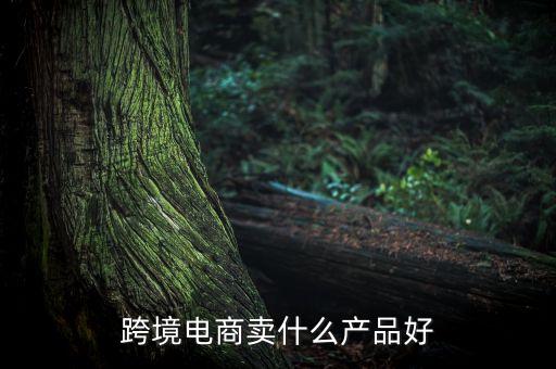 跨境電商賣什么產(chǎn)品好