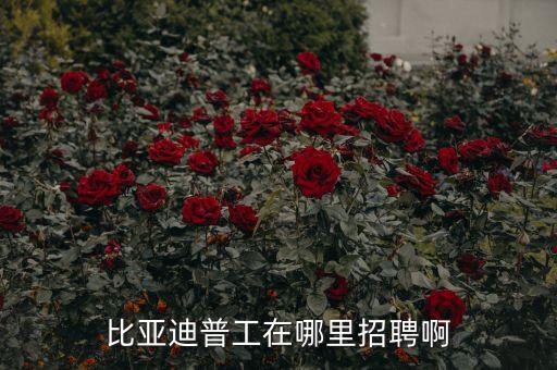 比亞迪普工在哪里招聘啊