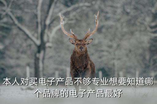 本人對買電子產(chǎn)品不夠?qū)I(yè)想要知道哪個品牌的電子產(chǎn)品最好
