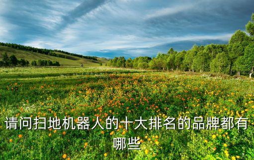請問掃地機(jī)器人的十大排名的品牌都有哪些