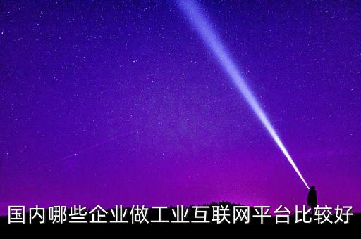 國(guó)內(nèi)哪些企業(yè)做工業(yè)互聯(lián)網(wǎng)平臺(tái)比較好