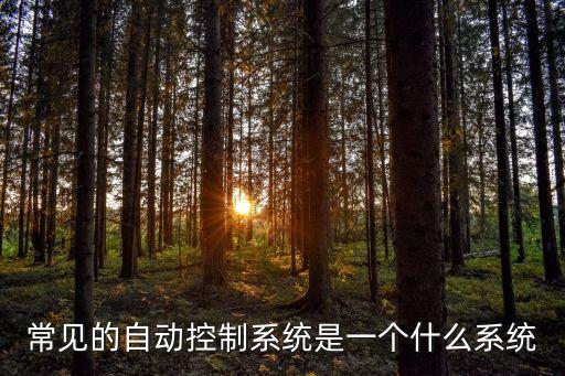 常見(jiàn)的自動(dòng)控制系統(tǒng)是一個(gè)什么系統(tǒng)