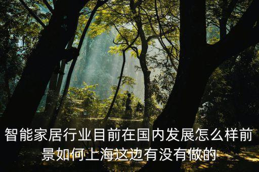 智能家居行業(yè)，從事智能家居行業(yè)要掌握哪些知識哪些技能那些操作的平臺
