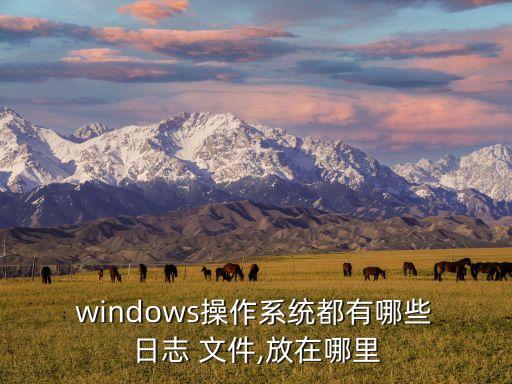  windows操作系統(tǒng)都有哪些 日志 文件,放在哪里