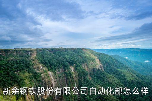 新余鋼鐵股份有限公司自動(dòng)化部怎么樣