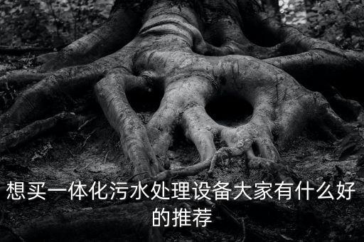 想買(mǎi)一體化污水處理設(shè)備大家有什么好的推薦