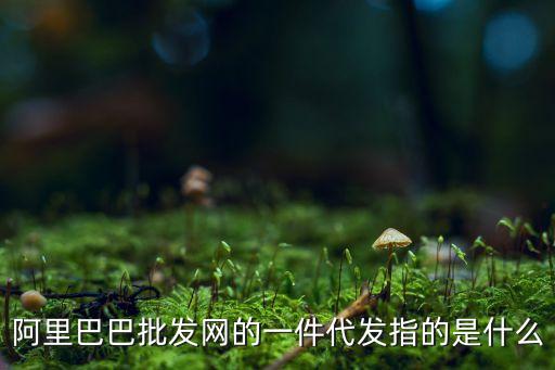 阿里巴巴批發(fā)網(wǎng)的一件代發(fā)指的是什么