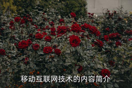移動(dòng)互聯(lián)網(wǎng)技術(shù)的內(nèi)容簡(jiǎn)介