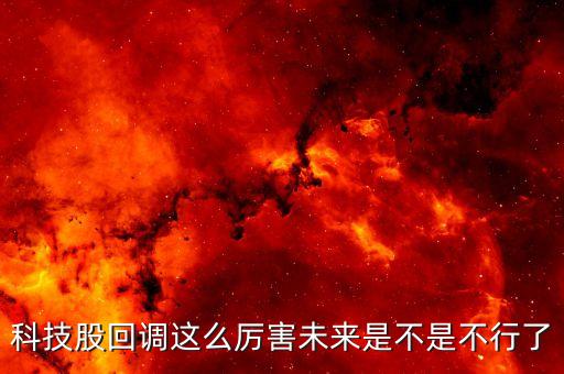 科技股回調(diào)這么厲害未來(lái)是不是不行了