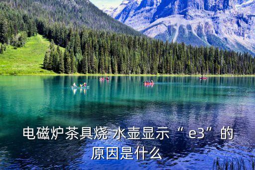 自動上水壺出現(xiàn)e3,微波爐主傳感器出故障火苗燒壞