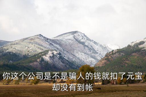 你這個公司是不是騙人的錢就扣了元寶卻沒有到帳