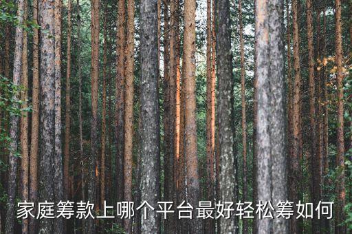 窮人籌款平臺，有沒有可以籌錢的籌款app啊有合適的推薦一下啊
