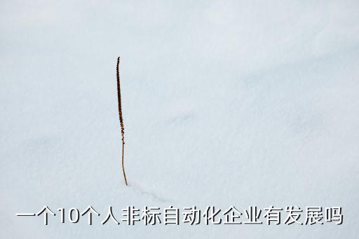 一個10個人非標(biāo)自動化企業(yè)有發(fā)展嗎