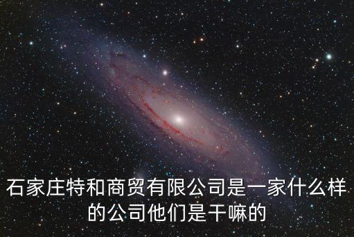深圳市天一壹科技是干嘛的，朋友問我要營業(yè)執(zhí)照的手機(jī)照給他說他公司要干嘛用的我又不是