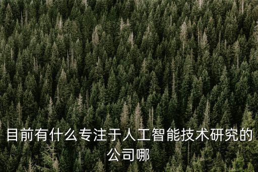 目前有什么專(zhuān)注于人工智能技術(shù)研究的公司哪