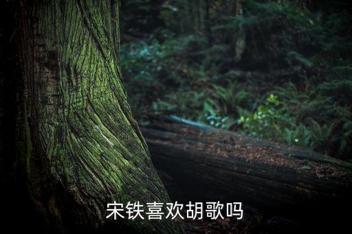 科技狂潮宋鐵，宋鐵喜歡胡歌嗎