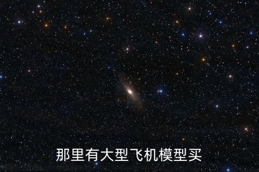 那里有大型飛機(jī)模型買