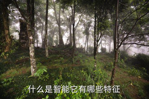 智能的四個(gè)特征，什么是智能它有哪些特征
