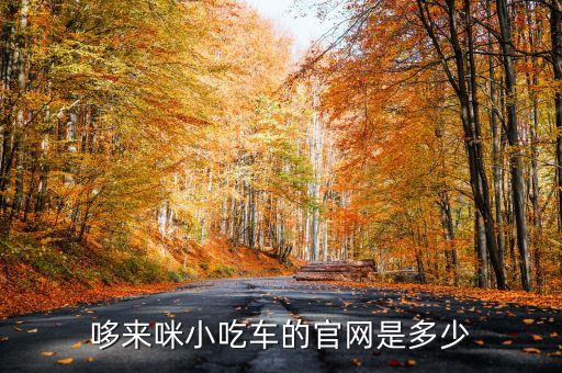 哆來咪小吃車的官網(wǎng)是多少