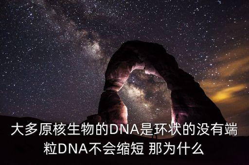大多原核生物的DNA是環(huán)狀的沒有端粒DNA不會縮短 那為什么