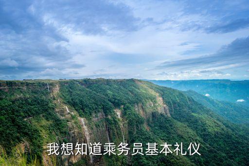 我想知道乘務(wù)員基本禮儀