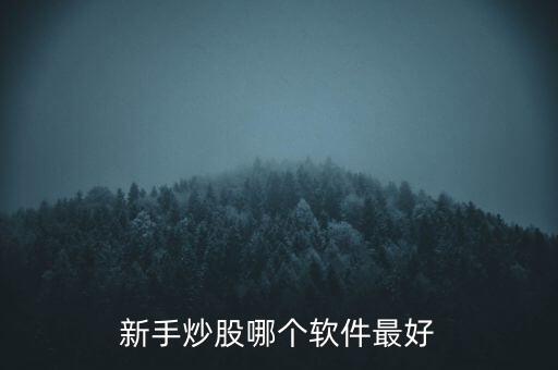 新人炒股用什么軟件好，新手炒股哪個軟件最好