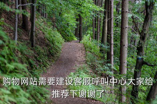 購(gòu)物網(wǎng)站需要建設(shè)客服呼叫中心大家給推薦下謝謝了