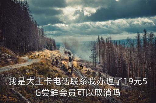 我是大王卡電話聯(lián)系我辦理了19元5G嘗鮮會員可以取消嗎