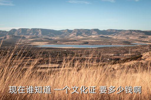 現(xiàn)在誰知道 一個文化證 要多少錢啊