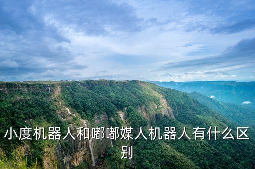 小度機器人和嘟嘟媒人機器人有什么區(qū)別