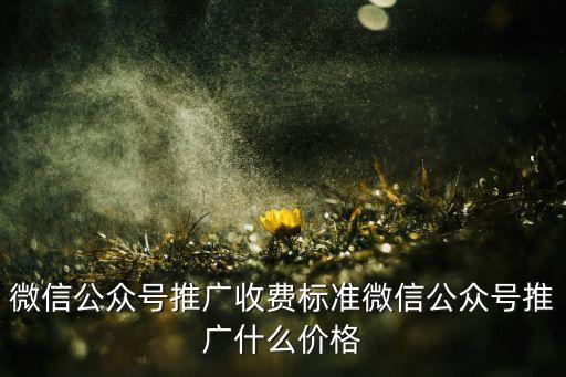 微信公眾號推廣收費(fèi)標(biāo)準(zhǔn)微信公眾號推廣什么價格