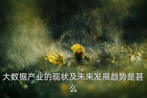 大數(shù)據(jù)產(chǎn)業(yè)的現(xiàn)狀及未來發(fā)展趨勢是甚么
