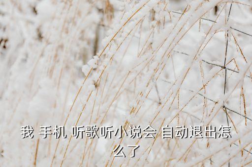 我 手機(jī) 聽歌聽小說(shuō)會(huì) 自動(dòng)退出怎么了