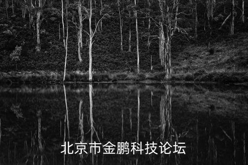 北京市金鵬科技論壇