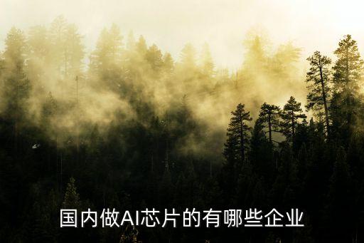 國內做AI芯片的有哪些企業(yè)