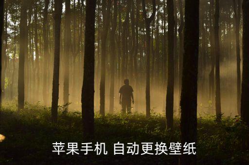 樂(lè)1s怎么老自動(dòng)換墻紙,如何使用自動(dòng)壁紙?