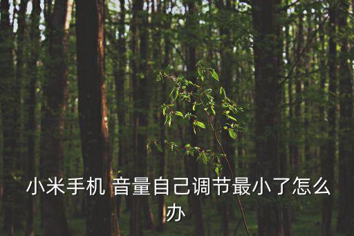  小米手機(jī) 音量自己調(diào)節(jié)最小了怎么辦