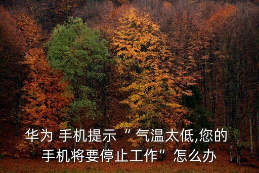 華為 手機(jī)提示“ 氣溫太低,您的 手機(jī)將要停止工作”怎么辦