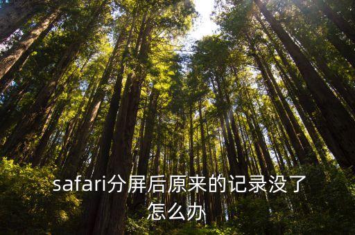  safari分屏后原來的記錄沒了怎么辦