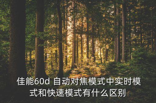  佳能60d 自動(dòng)對(duì)焦模式中實(shí)時(shí)模式和快速模式有什么區(qū)別