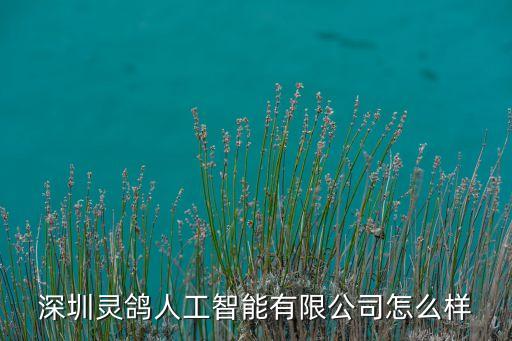 人工智能ai技術有限公司，墨子人工智能技術有限公司的使命是什么