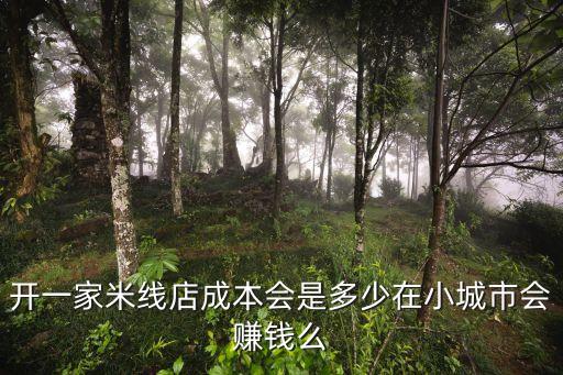 開一家米線店成本會(huì)是多少在小城市會(huì)賺錢么