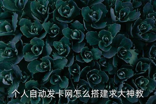 個人自動發(fā)卡網(wǎng)怎么搭建求大神教