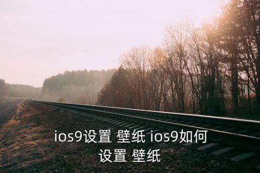 ios9自動(dòng)換壁紙插件,手機(jī)應(yīng)用設(shè)置壁紙如何進(jìn)行?