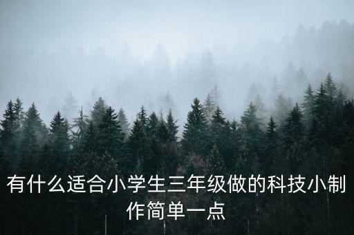 有什么適合小學(xué)生三年級(jí)做的科技小制作簡(jiǎn)單一點(diǎn)