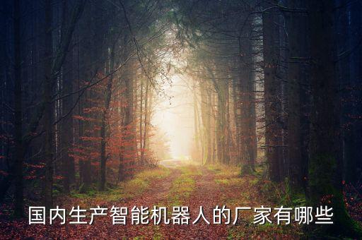 人工智能機器人生產(chǎn)廠家，國際上主要工業(yè)機器人生產(chǎn)廠家有哪些