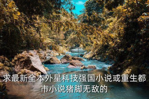 我的超級黑科技帝國小說，求小說要主角創(chuàng)建高科技帝國擊敗外國巨頭公司的小說