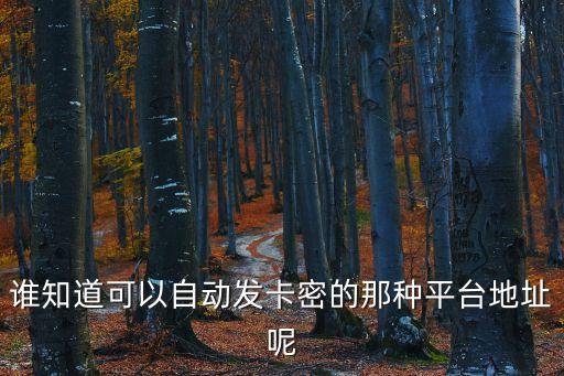 誰知道可以自動發(fā)卡密的那種平臺地址呢